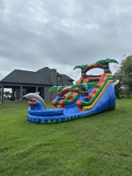 16ft dolphin Water slide