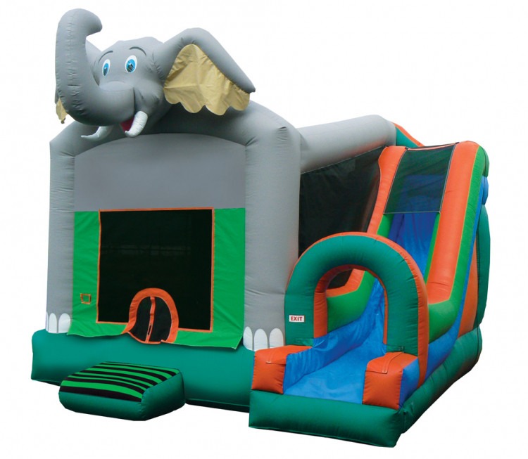 Bounce House W/Slide Rentals